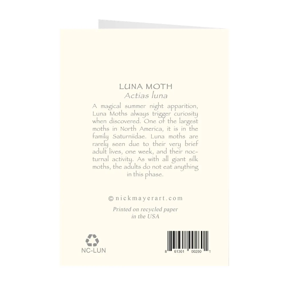 Luna Moth Notecards